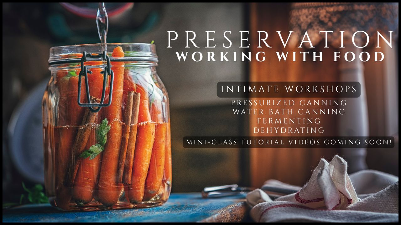 Food Preservation YouTube Thumbnail